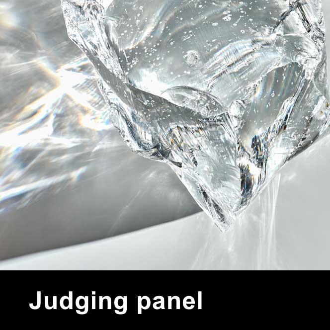 Judging panel